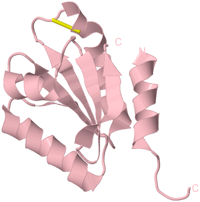 Image Biological Unit 3