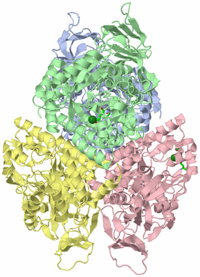 Image Asym./Biol. Unit - sites