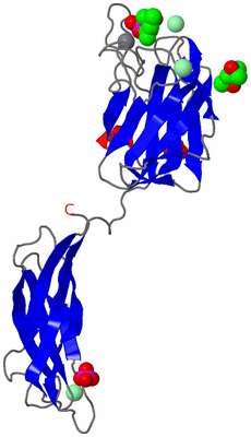 Image Asymmetric Unit