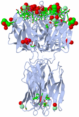 Image Biol. Unit 1 - sites