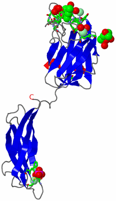 Image Asym. Unit - sites