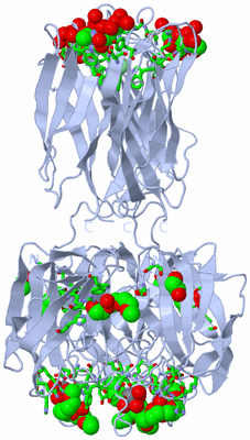 Image Biol. Unit 1 - sites