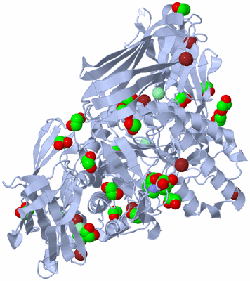 Image Biological Unit 1