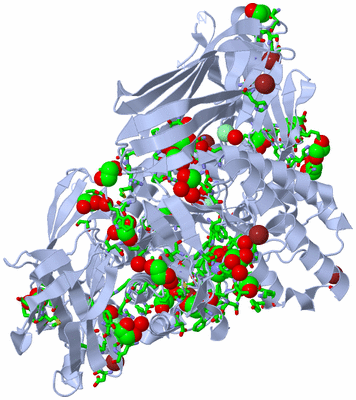 Image Biol. Unit 1 - sites