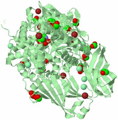 Image Biological Unit 2