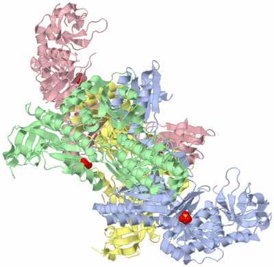 Image Asym./Biol. Unit