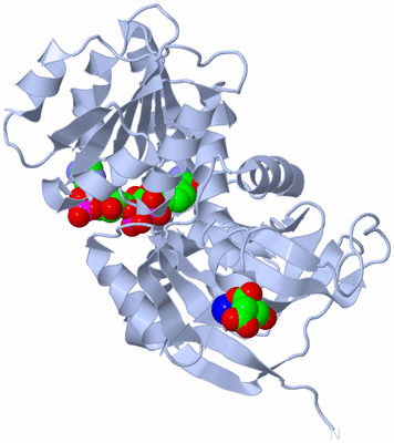 Image Biological Unit 1