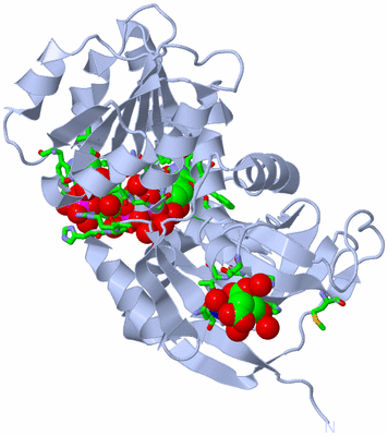 Image Biol. Unit 1 - sites