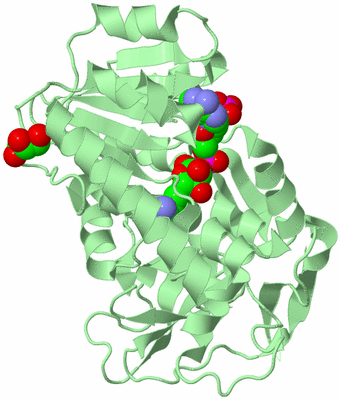 Image Biological Unit 2