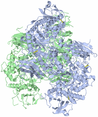 Image Biological Unit 1