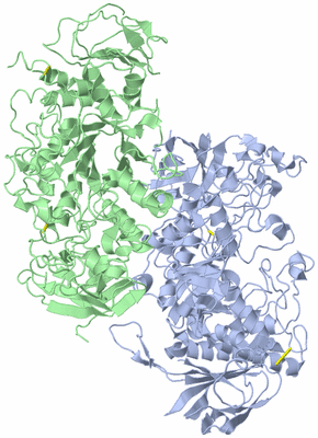 Image Biological Unit 2