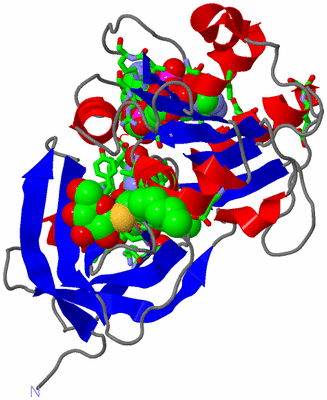 Image Asym./Biol. Unit - sites