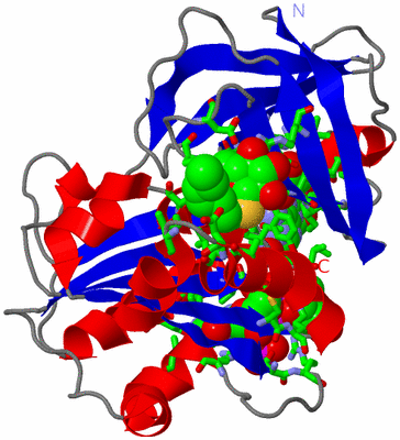 Image Asym./Biol. Unit - sites