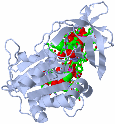 Image Biol. Unit 1 - sites