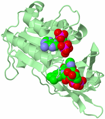 Image Biological Unit 2