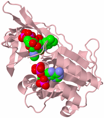 Image Biological Unit 3