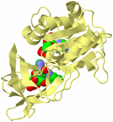 Image Biological Unit 4