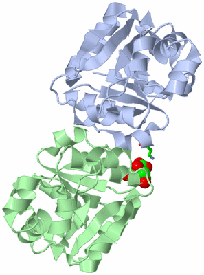 Image Asym./Biol. Unit - sites