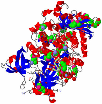 Image Asym./Biol. Unit - sites