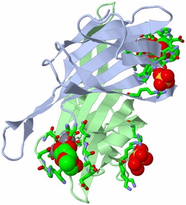 Image Biol. Unit 1 - sites