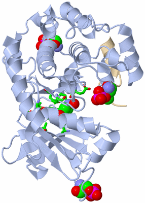 Image Asym./Biol. Unit - sites