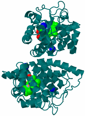 Image Biological Unit 1