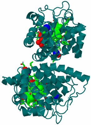 Image Biol. Unit 1 - sites