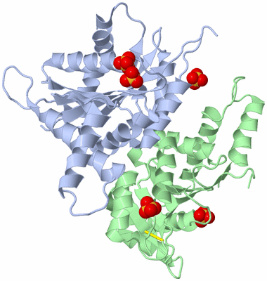 Image Asymmetric Unit