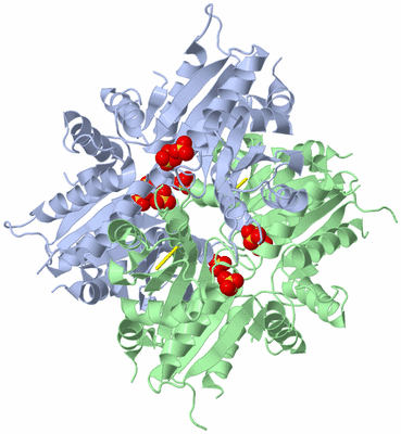 Image Biological Unit 1