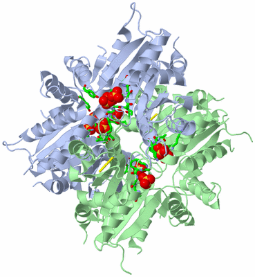 Image Biol. Unit 1 - sites