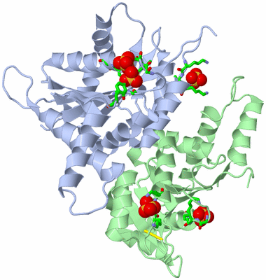 Image Asym. Unit - sites
