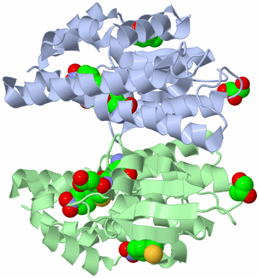 Image Asym./Biol. Unit