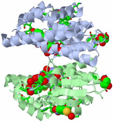 Image Asym./Biol. Unit - sites