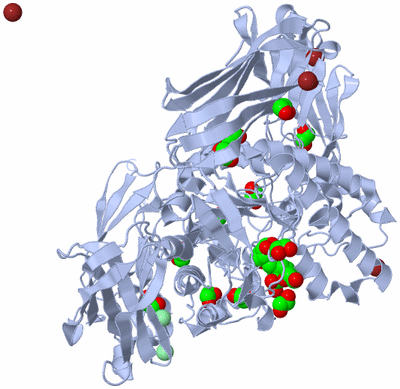 Image Biological Unit 1