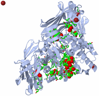 Image Biol. Unit 1 - sites