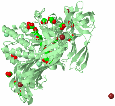 Image Biological Unit 2