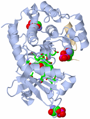 Image Asym./Biol. Unit - sites