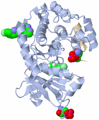 Image Asym./Biol. Unit