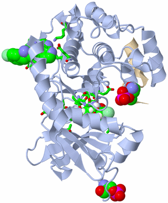 Image Asym./Biol. Unit - sites