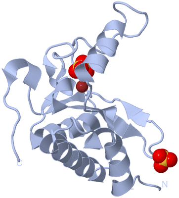 Image Biological Unit 1