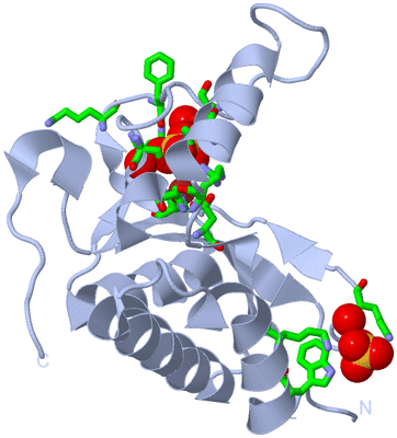 Image Biol. Unit 1 - sites