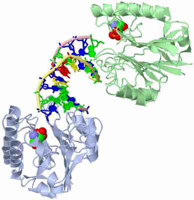 Image Biological Unit 1