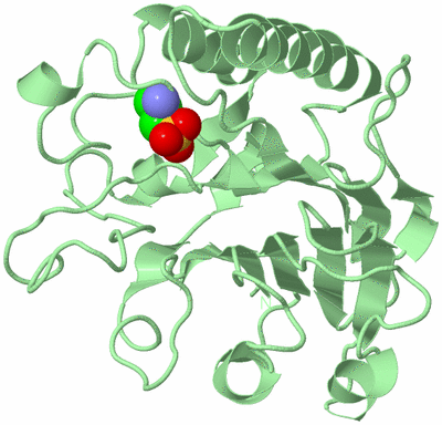 Image Biological Unit 3