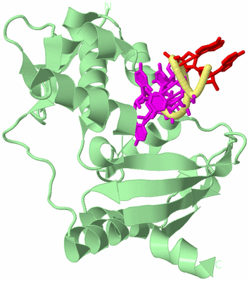 Image Biological Unit 2