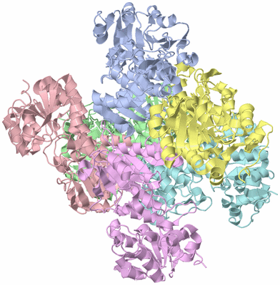 Image Asym./Biol. Unit