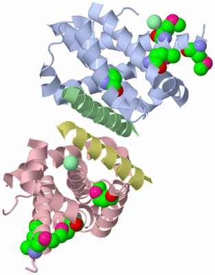 Image Biological Unit 1