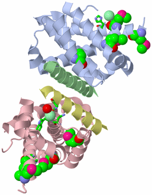 Image Biol. Unit 1 - sites