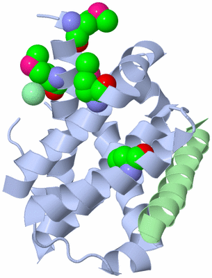 Image Biological Unit 2