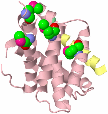 Image Biological Unit 3