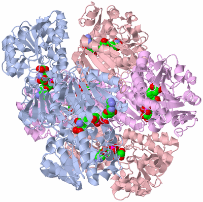 Image Biological Unit 1